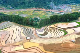 Yên Bái: Vẻ đẹp ruộng bậc thang Mù Cang Chải 