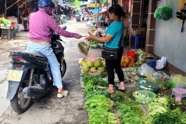 Giá rau xanh cao gấp 2-3 lần so với trước bão 