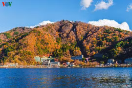 Ngẩn ngơ vẻ đẹp mê hồn mùa thu trên đỉnh núi Phú Sĩ 