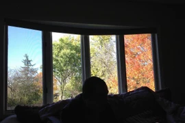 "Khó tin nhưng có thật” loạt khoảnh khắc độc lạ trùng hợp bất ngờ