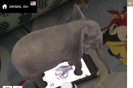 Tiết lộ 'sốc' công nghệ khiến Animal 4D+ và top ứng dụng 'dậy sóng'