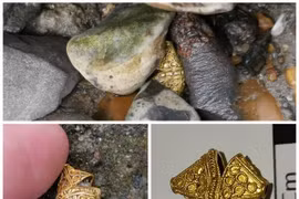 "Một bước lên tiên" nam công nhân thành tỉ phú sau khi nhặt thứ khó tin...