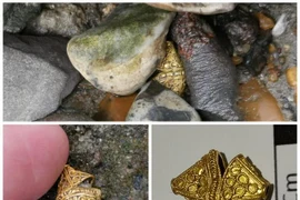 "Một bước lên tiên" nam công nhân thành tỉ phú sau khi nhặt thứ khó tin...