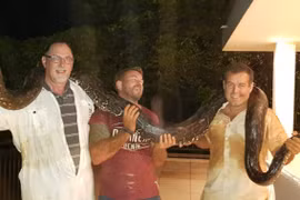 Kịch tính màn bắt trăn khủng hơn 4m, bị "kẻ thứ 3" tấn công dữ dội