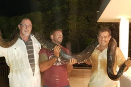 Kịch tính màn bắt trăn khủng hơn 4m, bị "kẻ thứ 3" tấn công dữ dội