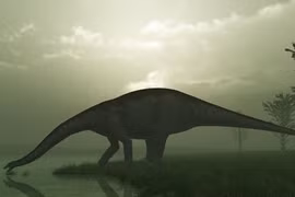 Phát hiện đặc biệt xương khủng long khổng lồ dài nhất thế giới