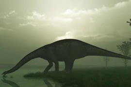 Phát hiện đặc biệt xương khủng long khổng lồ dài nhất thế giới