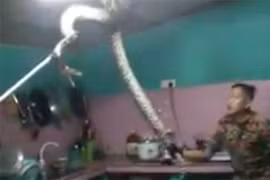 Kịch tính trăn gấm “khủng” giằng co với người trên trần bếp