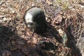 Bí ẩn quái đản bộ xương người xích cây và sự thực "té ngửa"