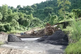 Công ty Kim Phát lắp dây chuyền tuyển quặng trái phép