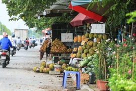 “Chợ cóc” bùng phát trên Đại lộ Thăng Long, hiểm họa khôn lường