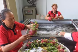 Xuất khẩu nông sản sang Trung Quốc: Chuẩn bị cho 'cuộc chơi' mới