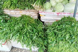 Ảnh hưởng mưa lớn kéo dài, rau muống ở Hà Nội chạm 20.000 đồng/bó