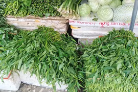 Ảnh hưởng mưa lớn kéo dài, rau muống ở Hà Nội chạm 20.000 đồng/bó