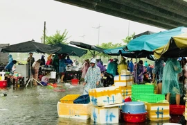 Sử dụng thực phẩm mùa mưa bão, ngập lụt sao cho an toàn?