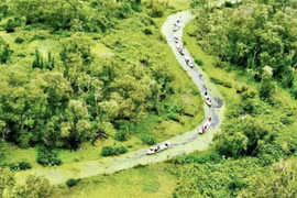 Đến rừng tràm Trà Sư, ngồi thuyền 'lạc trôi vào vùng đất thần tiên'