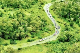 Đến rừng tràm Trà Sư, ngồi thuyền 'lạc trôi vào vùng đất thần tiên'