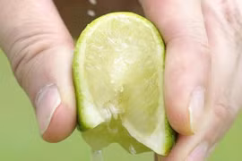 Câu đố Tiếng Việt: "Đều như vắt gì...?", trả lời "chanh" là sai