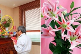 Những loài hoa dù có đẹp tới mấy cũng không được bày trên bàn thờ