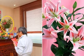 Những loài hoa dù có đẹp tới mấy cũng không được bày trên bàn thờ