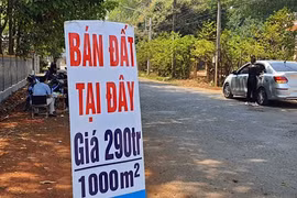 Nhìn lại những sự kiện nổi bật của thị trường bất động sản phía Nam