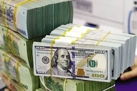 Tỷ giá USD hôm nay 12/11/2024: Tăng nhẹ?