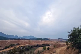 Chưa chuyển đổi mục đích đất đã thi công, Dabaco Hòa Bình bị xử phạt