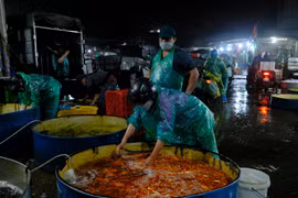 Hà Nội: Chợ Yên Sở đỏ rực cá chép trước ngày tiễn ông Công ông Táo về trời