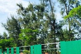 “Mục sở thị” khu đất vàng ven biển Quảng Ngãi bỏ hoang nhiều năm