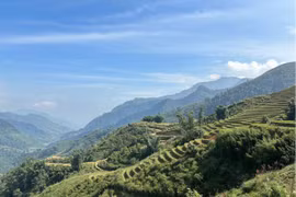 Du khách quốc tế ấn tượng hành trình trải nghiệm Sapa với trẻ nhỏ 