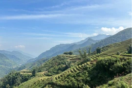 Du khách quốc tế ấn tượng hành trình trải nghiệm Sapa với trẻ nhỏ 