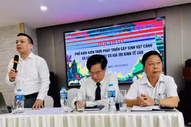 Phổ biến kiến thức phát triển cây cảnh và cây bóng mát có giá trị kinh tế cao