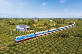 Đường sắt tìm “nguồn sống” từ du lịch