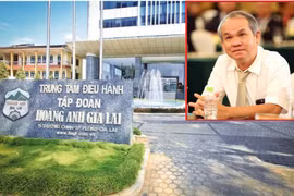 Biết gì về Cty Quỹ Việt Cát mua 60 triệu cổ phiếu HAG?