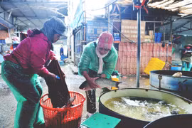 Ngâm tay không, vớt cá bán cho khách giữa trời rét dưới 10 độ