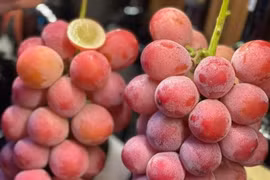 Hoa quả Trung Quốc ngập chợ Hà Nội, có loại xưng danh đắt nhất thế giới