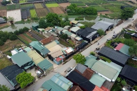 Xây dựng trên đất nông nghiệp Tây Tựu: Hà Nội sẽ cho kiểm tra ngay