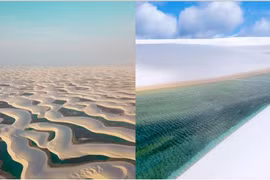 Sa mạc kỳ lạ nhất trên trái đất, có lượng mưa lớn quanh năm 