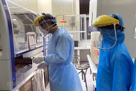 Ngày 1/7: Ca COVID-19 mới tăng lên 927; số khỏi gấp 9 lần