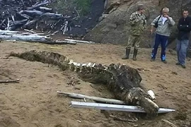 Xác sinh vật thời tiền sử ở Bắc Cực khiến khoa học lo lắng