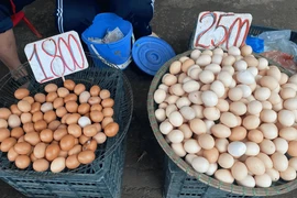 Trứng gà rẻ bán đầy đường Hà Nội