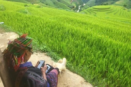 “Những chiếc thang tuyệt vời leo lên bầu trời Tây Bắc“