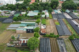 Hà Nội: Hàng loạt công trình “mọc” trên đất nông nghiệp ở Tây Tựu?