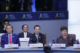 Việt Nam đề xuất đăng cai các hoạt động của Năm APEC 2027