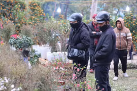 Chợ hoa Công viên Thống Nhất tấp nập ngày cận Tết