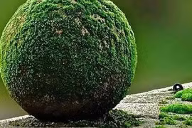 Bốn dấu hiệu chính của một người "sắp xảy ra tai hoạ"