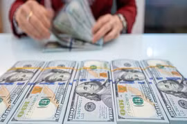 Tỷ giá USD hôm nay 24/3/2025: Trên đà phục hồi?