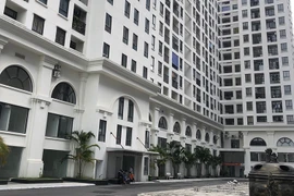 Nợ thuế khủng, BIDGroup đang ôm dự án nào?