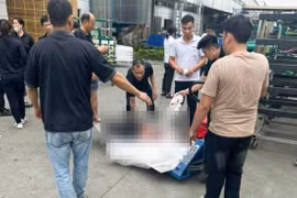 Biết gì về Cty Johnson Health xảy ra tai nạn lao động chết người?