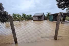 Các tỉnh từ Quảng Bình đến Khánh Hòa tiếp tục chống chọi đợt mưa lớn kéo dài